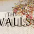 The Walls Vineyards | PÁŠXA Wines