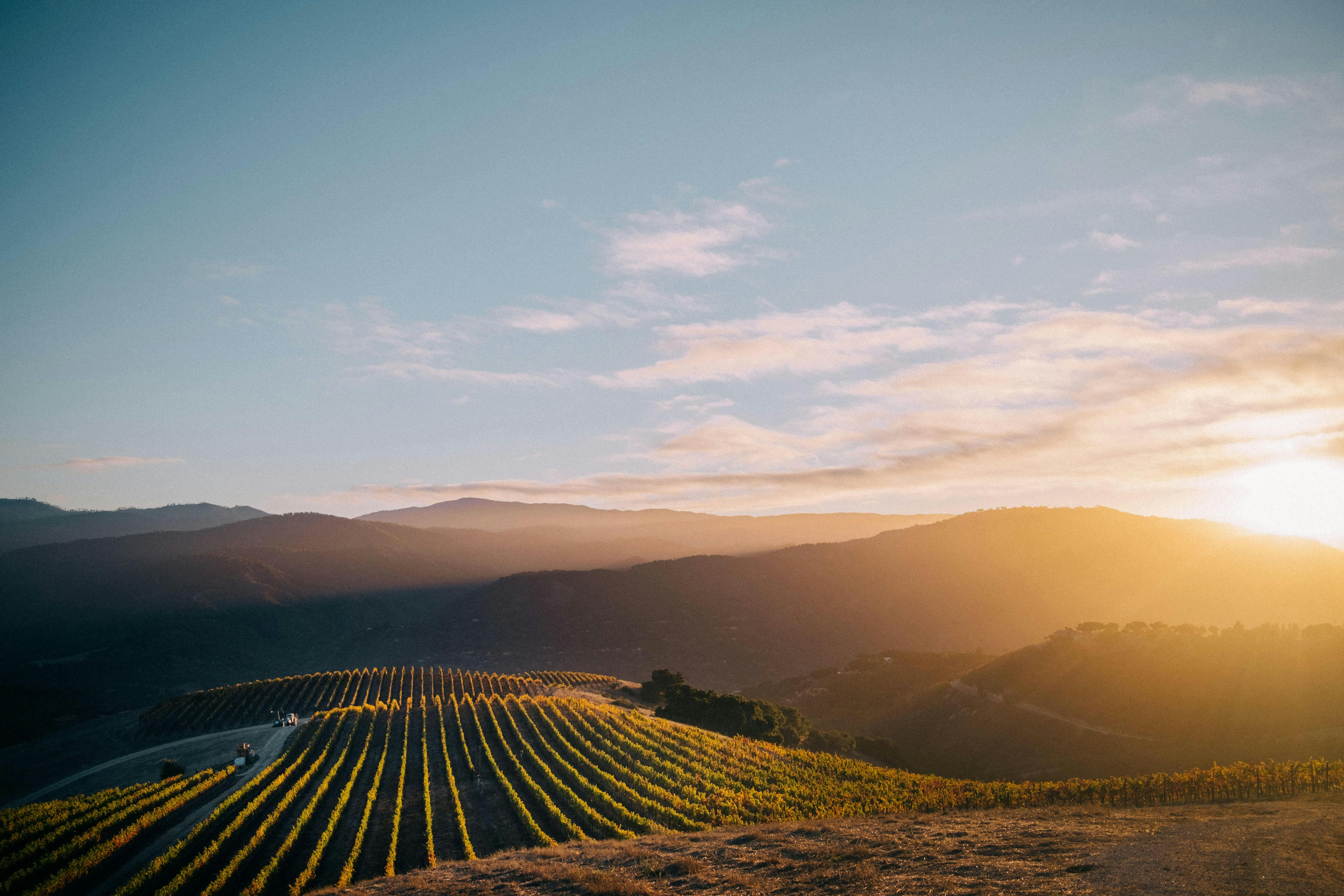 Holman Ranch Tasting Room