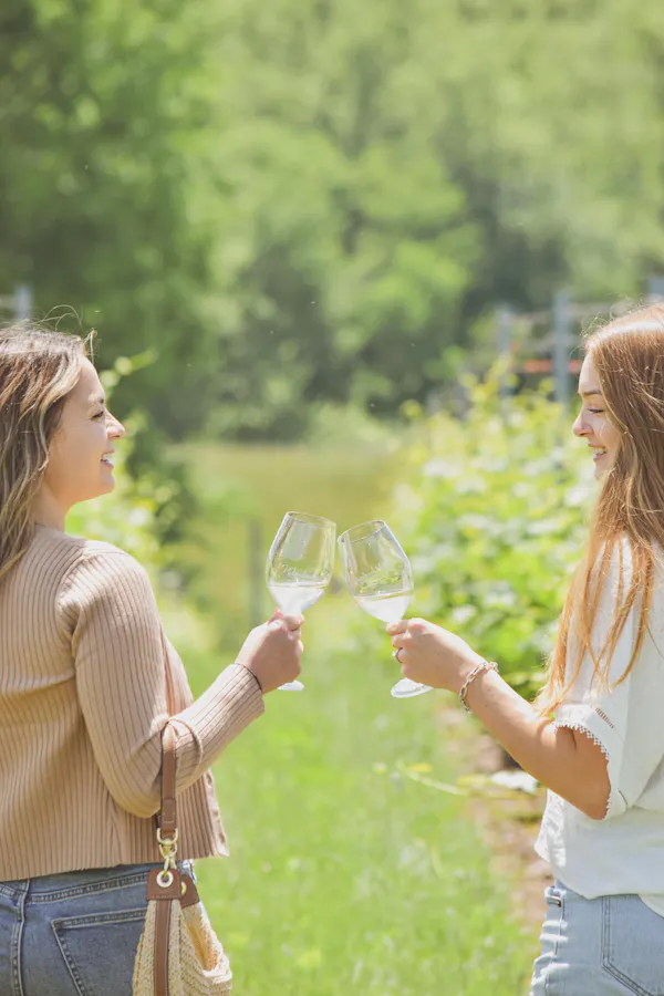 happiness, tableware, drinkware, drinking, stemware, wine glass