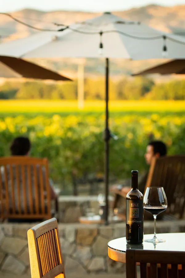 furniture, outdoor furniture, table, chair, umbrella, outdoor table