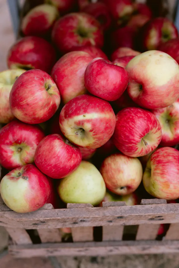 food, plant, fruit, natural foods, mcintosh, whole food