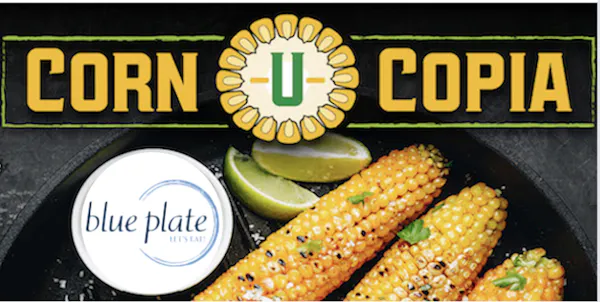 maize, corn kernel, food, ingredient, produce, sweet corn