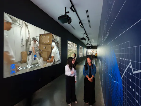 standing, flooring, ceiling, display device, technology, exhibition