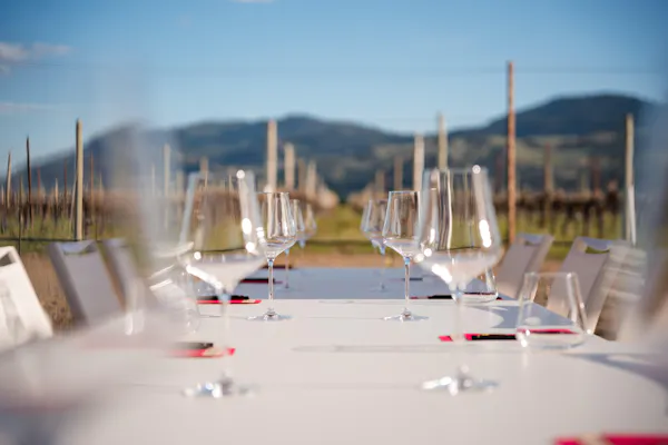 tableware, stemware, drinkware, champagne glass, barware, wine glass