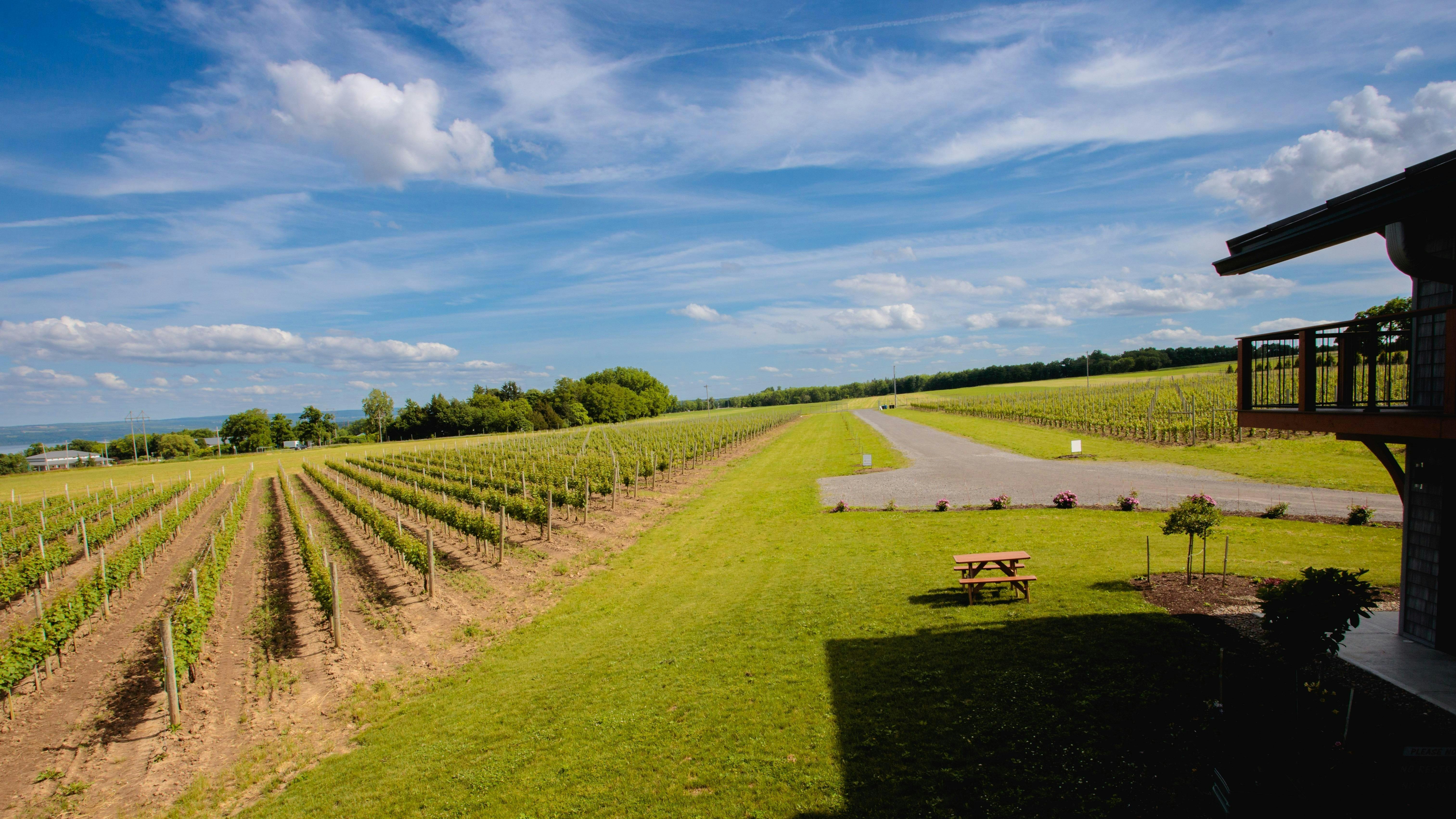 Kemmeter Wines