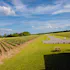 Kemmeter Wines