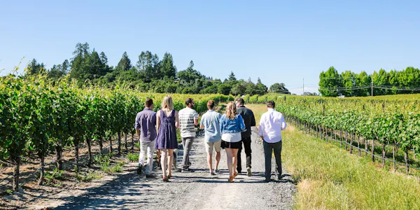 agriculture, people in nature, leisure, spring, plantation, vineyard