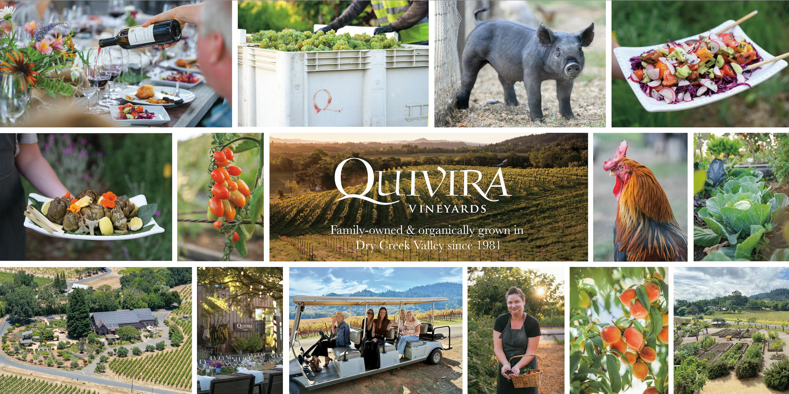 Quivira Vineyards and Winery