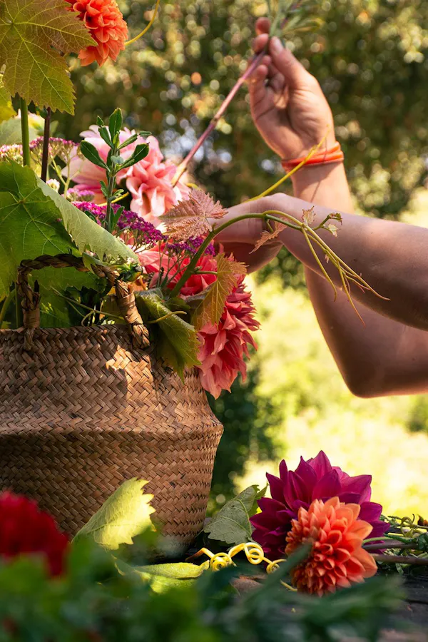 flower, red, petal, basket, pink, floristry