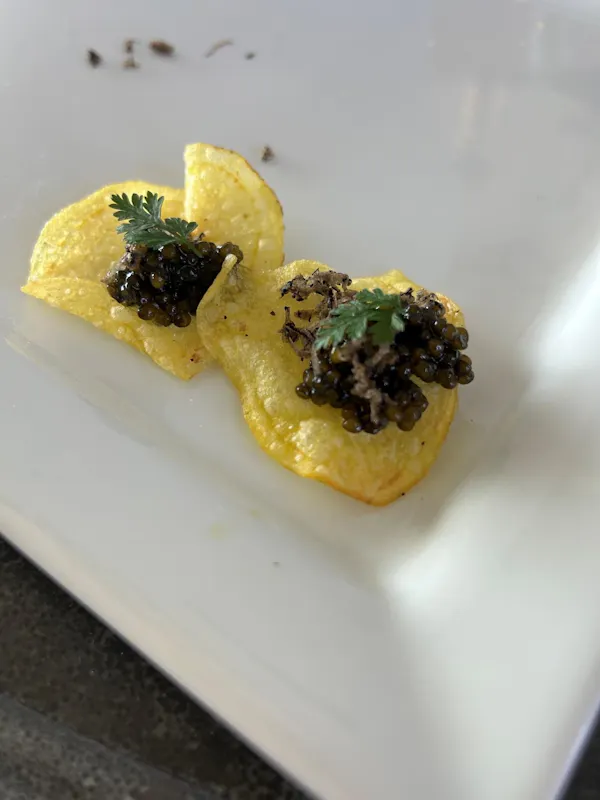 food, ingredient, culinary arts, garnish, recipe, fines herbes