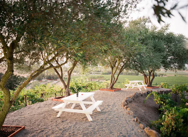 shrub, furniture, outdoor furniture, outdoor table, garden, landscaping