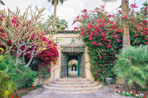 shrub, garden, hacienda, palm trees, walkway, botanical garden