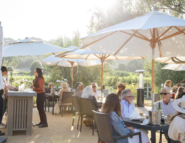 umbrella, furniture, outdoor furniture, recreation, outdoor table, table