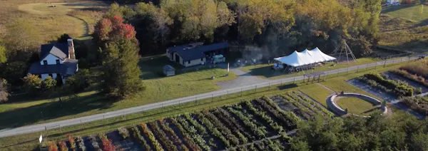 plain, landscape, land lot, field, plantation, agriculture