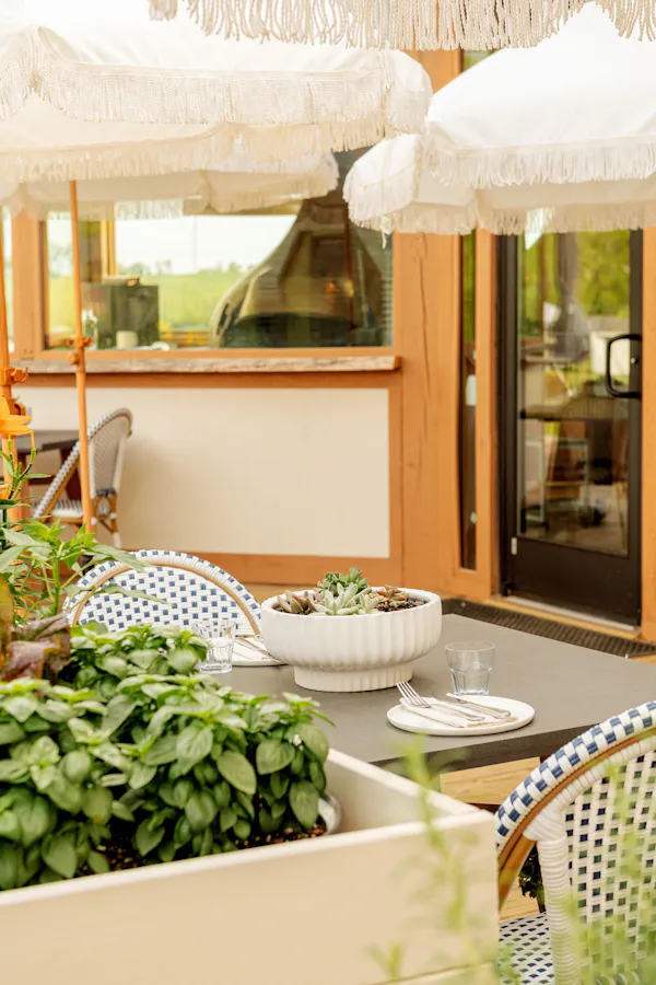 furniture, umbrella, outdoor furniture, flowerpot, chair, outdoor table