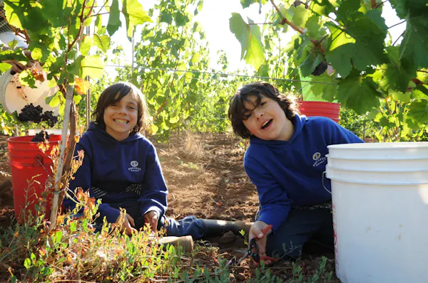 smile, community, happiness, fun, recreation, people in nature