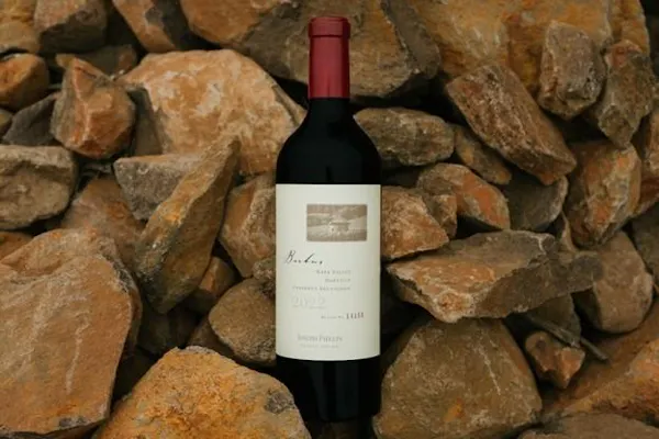 bottle, alcoholic drink, glass bottle, wine bottle, wine, label