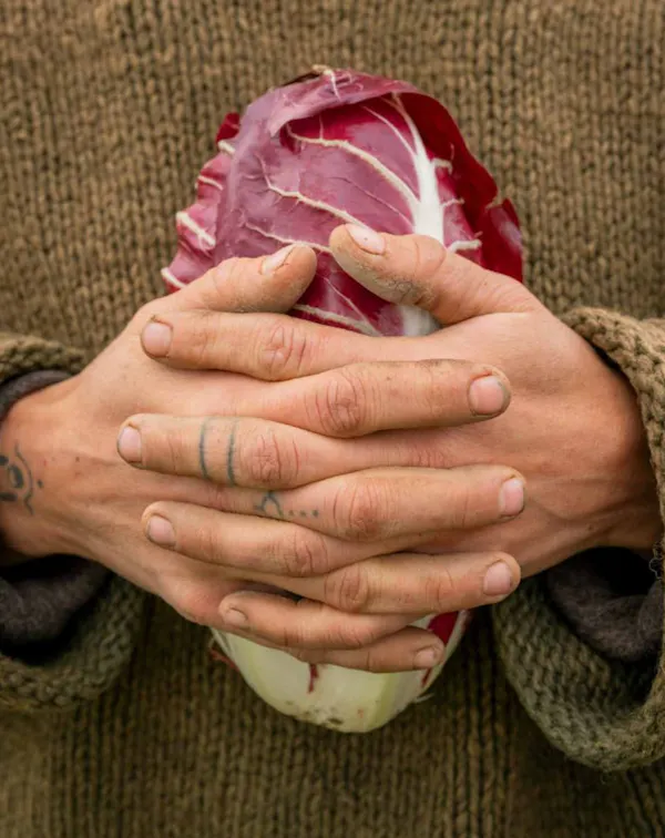 finger, nail, thumb, produce, flesh, leaf vegetable
