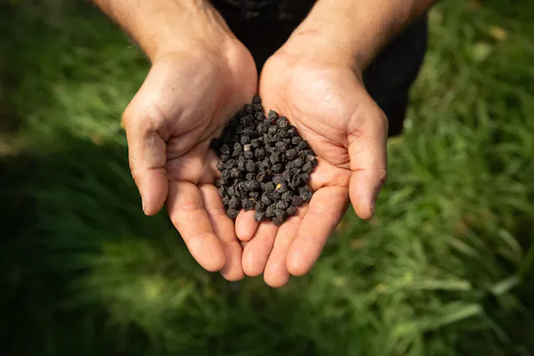 agriculture