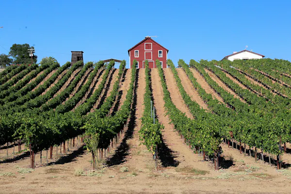 sky, plant, land lot, agriculture, building, rural area
