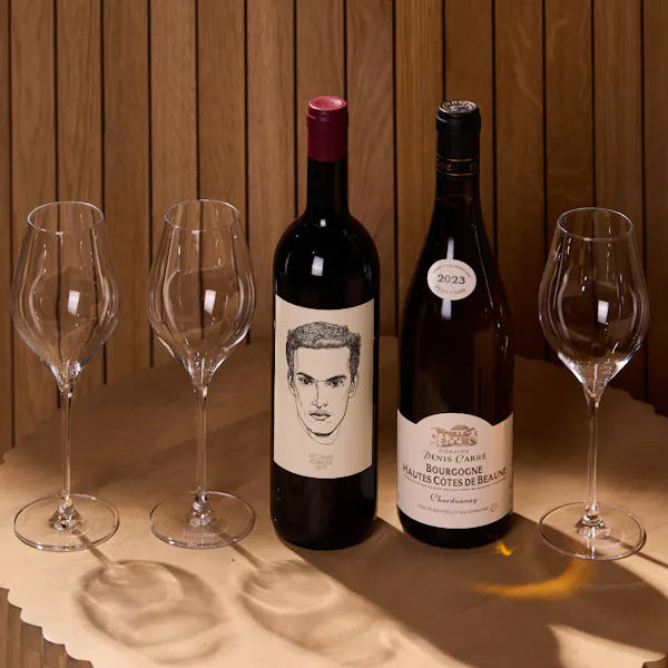 bottle, alcoholic drink, glass bottle, alcohol, wine bottle, liquid