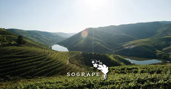 highland, plantation, agriculture, hill station, terrace, field