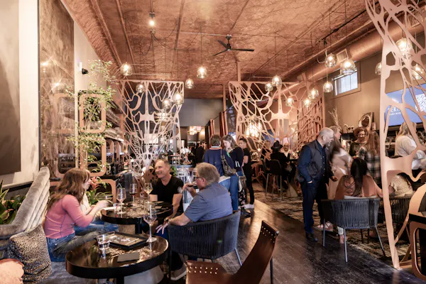 furniture, lighting, restaurant, chair, natural material, light fixture