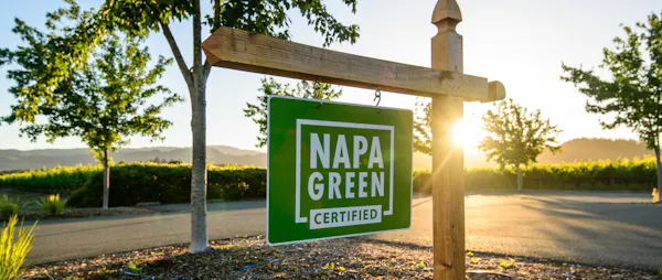green, property, signage, real estate, public space, tree