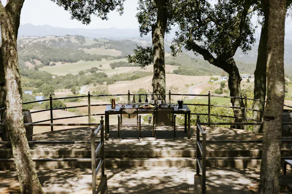 tree, furniture, shade, outdoor furniture, spring, outdoor table
