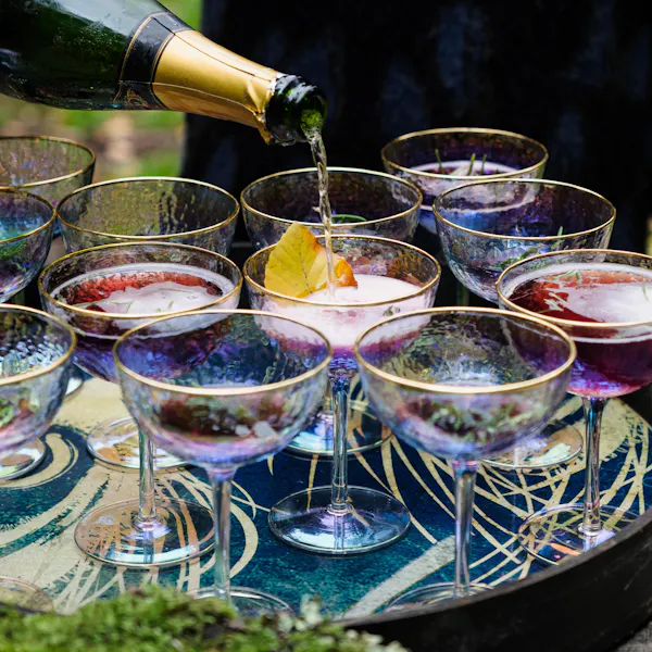 tableware, drinkware, stemware, bottle, dishware, liquid