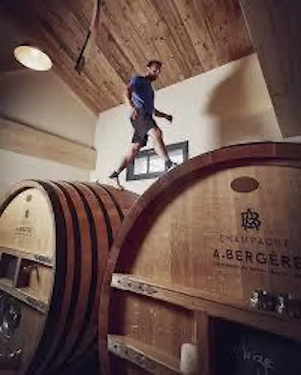 barrel, winery, wine cellar, wood stain, hardwood, brewery