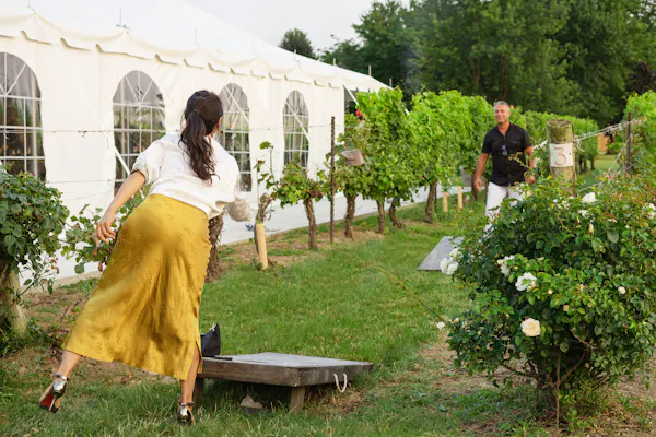 plants, shrub, garden, recreation, leisure, spring
