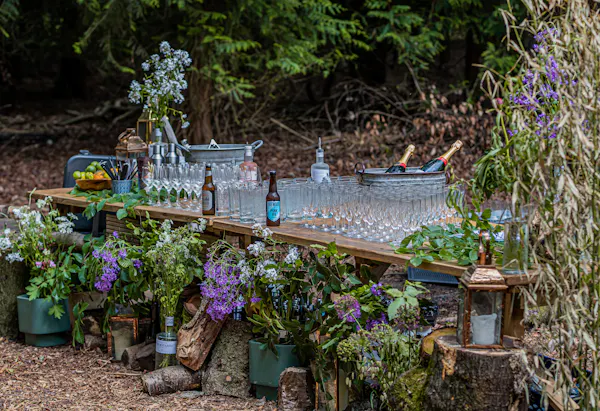 shrub, garden, flowerpot, spring, floristry, outdoor table