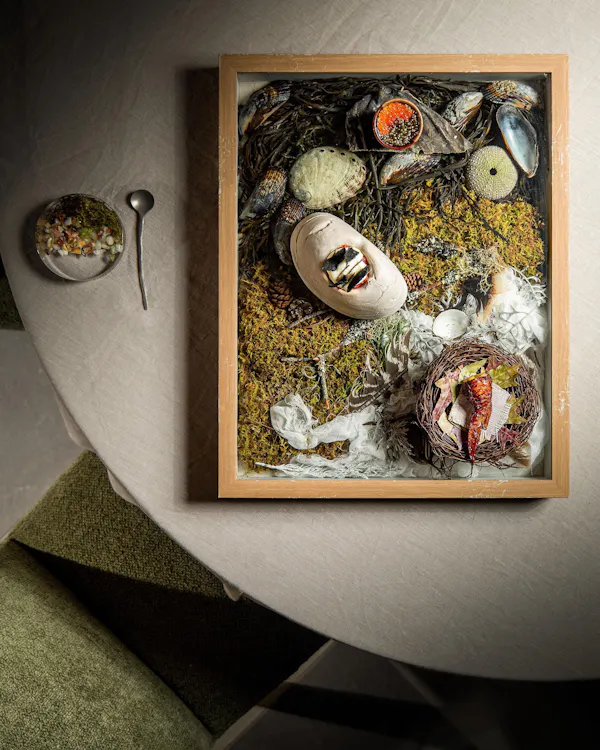 still life, still life photography