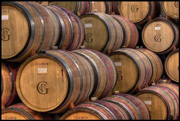 barrel, light, wood, winery, wine cellar, circle
