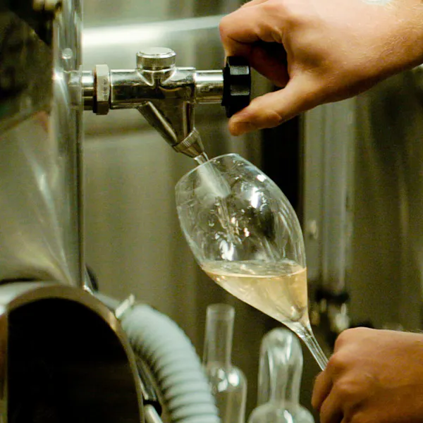 fluid, liquid, drinkware, stemware, barware, alcoholic drink