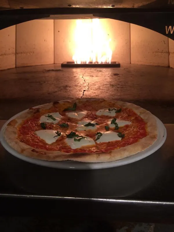 pizza, food, ingredient, pizza cheese, fast food, baking