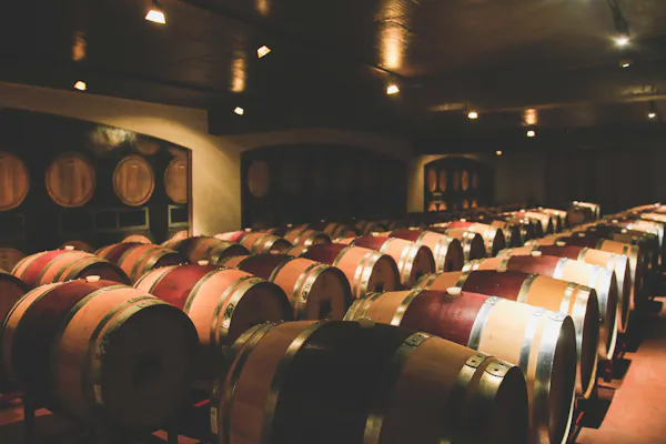 wine cellar, winery, mass production, chair, barrel, event