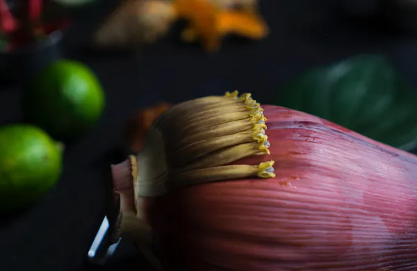 food, natural foods, wood, acorn, ingredient, vegetable