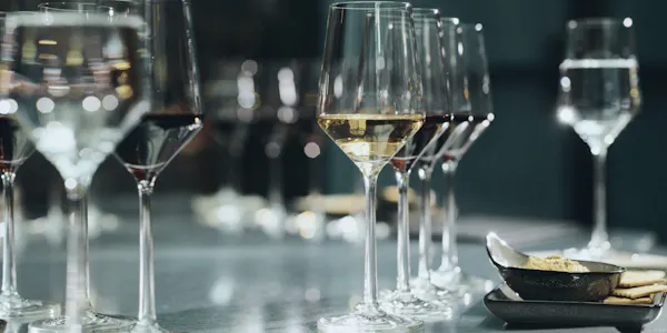 stemware, tableware, drinkware, barware, champagne glass, wine glass