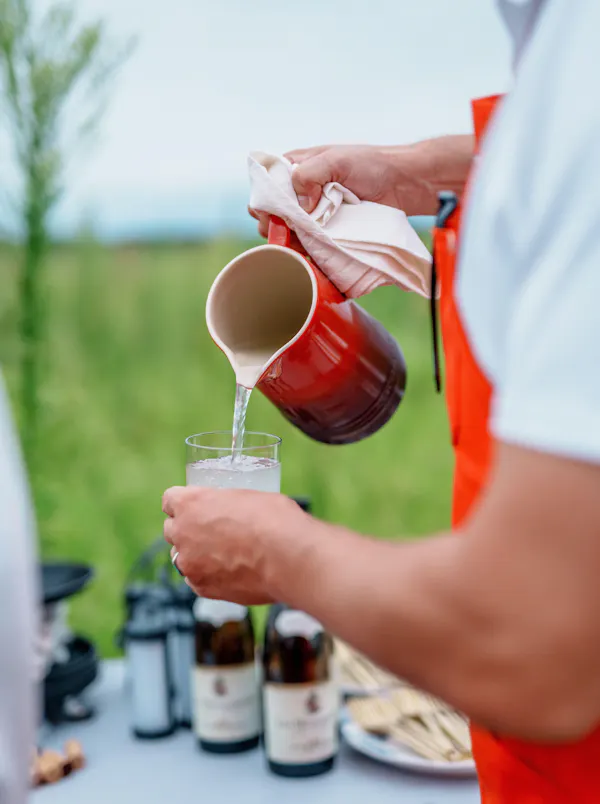 tableware, liquid, drinkware, kombucha, food, serveware