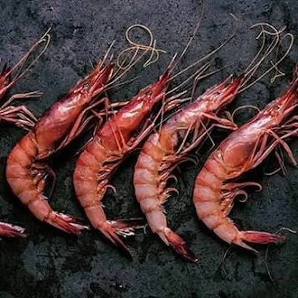 shrimp, crustacean, decapods, botan shrimp, seafood, arthropod