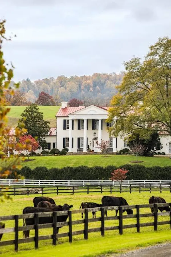garden, field, meadow, pasture, estate, plantation
