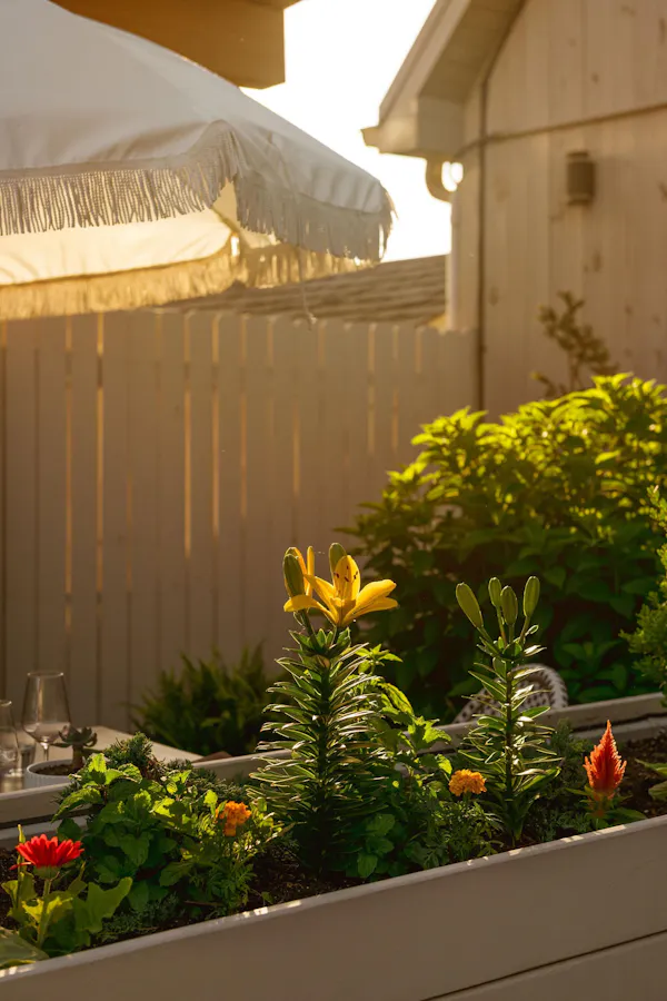 flower, plants, flowerpot, shrub, garden, houseplant