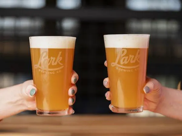 tableware, drinkware, beer, beer glass, barware, highball glass