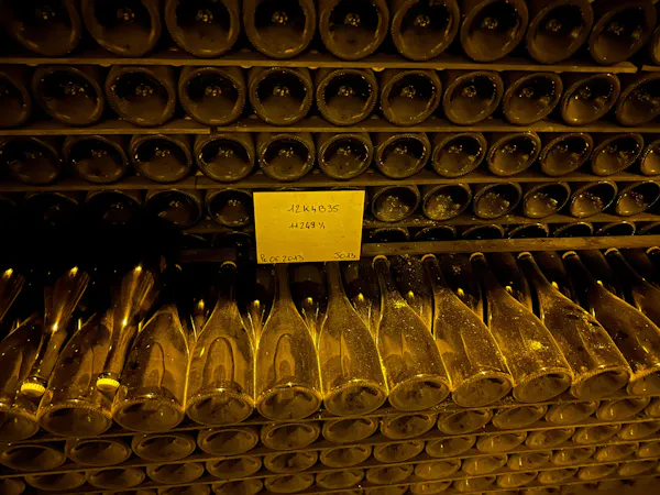 collection, glass bottle, bottle