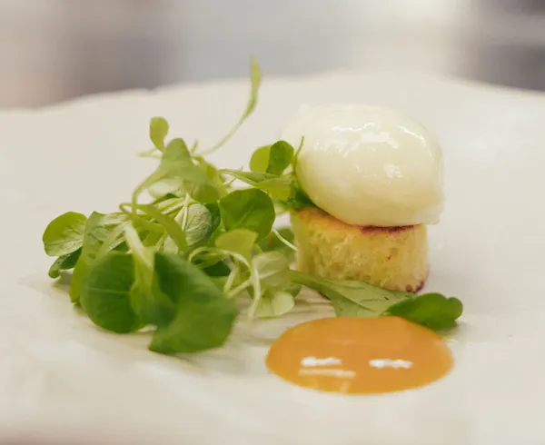 food, ingredient, tableware, culinary arts, cooking, garnish