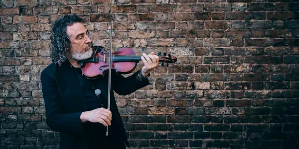 violin family, string instrument, chordophone, violinist, fiddle, bowed string instrument