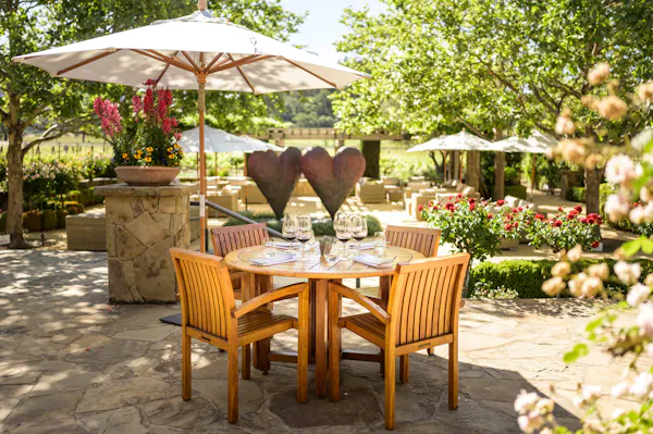 plant, furniture, table, flower, chair, outdoor table