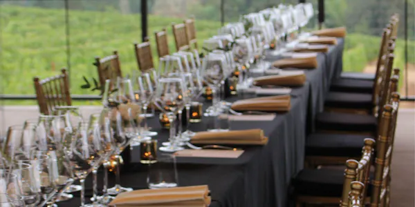 furniture, table, stemware, tablecloth, tableware, drinkware